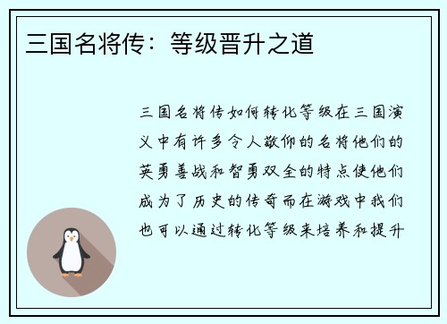 三国名将传：等级晋升之道